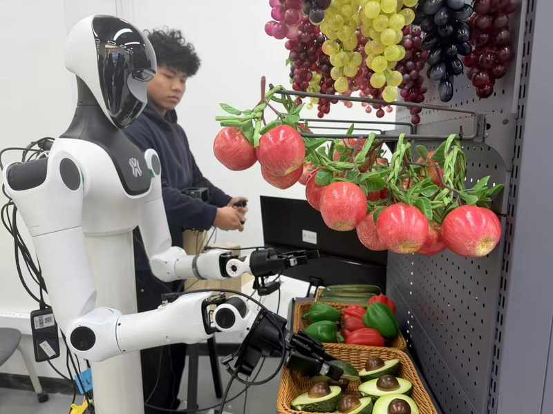  开源鸿蒙6.0：系统架构革命背后的技术演进逻辑 IT技术