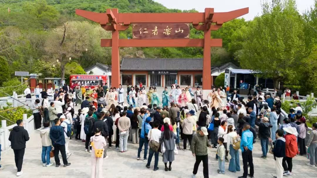  【技术解码】孔望山830年流苏树：古树保护与沉浸式文旅的融合实践 文化旅游 【技术解码】孔望山830年流苏树：古树保护与沉浸式文旅的融合实践 文化旅游