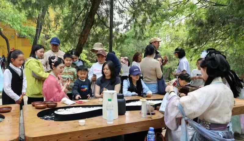  【技术解码】孔望山830年流苏树：古树保护与沉浸式文旅的融合实践 文化旅游 【技术解码】孔望山830年流苏树：古树保护与沉浸式文旅的融合实践 文化旅游