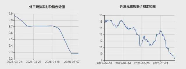  猪肉跌穿历史底价：规模化养殖如何重塑猪周期底层逻辑 股票财经 猪肉跌穿历史底价：规模化养殖如何重塑猪周期底层逻辑 股票财经
