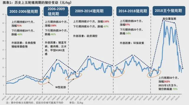  猪肉跌穿历史底价：规模化养殖如何重塑猪周期底层逻辑 股票财经 猪肉跌穿历史底价：规模化养殖如何重塑猪周期底层逻辑 股票财经
