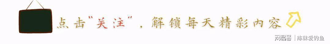  CBA数据密码：连败与连胜背后的战术博弈与技术演进 体育新闻 CBA数据密码：连败与连胜背后的战术博弈与技术演进 体育新闻