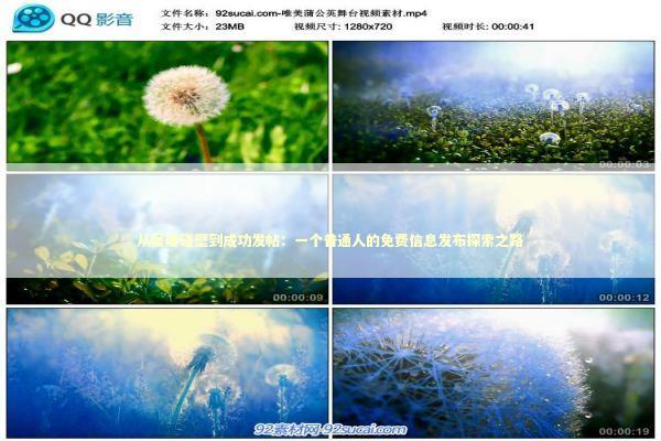 从屡屡碰壁到成功发帖：一个普通人的免费信息发布探索之路 企业服务