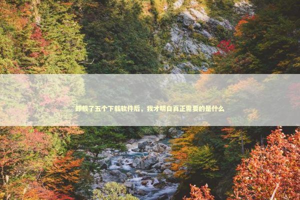 卸载了五个下载软件后，我才明白真正需要的是什么